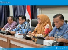 Kurangi Beban APBD, Pemkab Lampung Selatan Optimalkan KPBU untuk Proyek Infrastruktur Penerangan Jalan