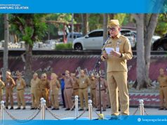 Apel Mingguan Jadi Momentum Pemkab Lampung Selatan Perkuat Disiplin dan Budaya Melayani ASN