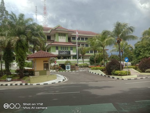 IMG-20241228-WA0006