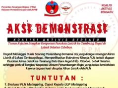 PLN Disorot Usai Kematian Penambang, Aktivis: Jangan Ada Lagi Korban