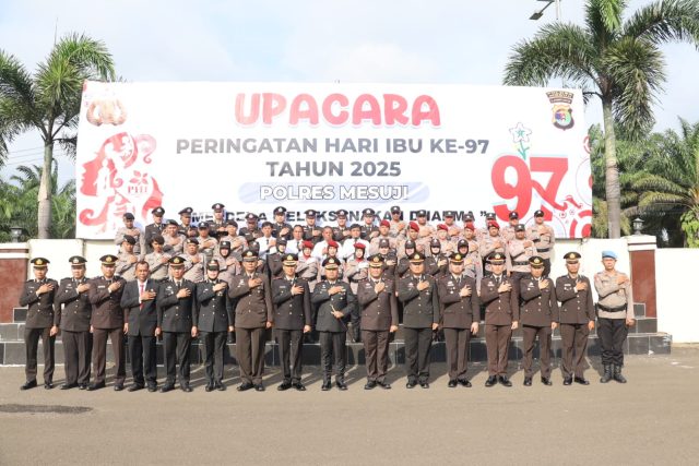 IMG-20251222-WA0146(1)