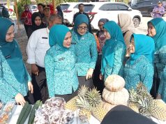 Ketua TP PKK Provinsi Lampung Dorong Pemberdayaan Keluarga Berbasi Potensi Lokal di Tulang Bawang