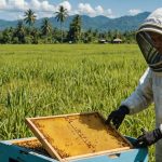 cara-budidaya-lebah-madu-untuk-pemula-hingga-panen-panduan-l