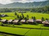 Dari Lahan Hijau ke Jaringan Maya: Sidengok Banjarnegara, Kisah Desa yang Mendunia Lewat sidengok-banjarnegara.desa.id
