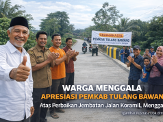 Apresiasi Warga Menggala atas Perbaikan Jembatan Jalan Koramil